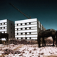 Zakaria Wakrim - Annexes - Photographie - Photography - Art - Chevaux - Immeubles - HLM - Construction